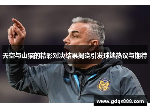 天空与山猫的精彩对决结果揭晓引发球迷热议与期待