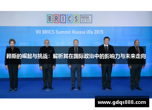 赖斯的崛起与挑战：解析其在国际政治中的影响力与未来走向