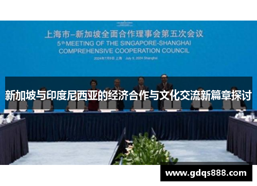 新加坡与印度尼西亚的经济合作与文化交流新篇章探讨